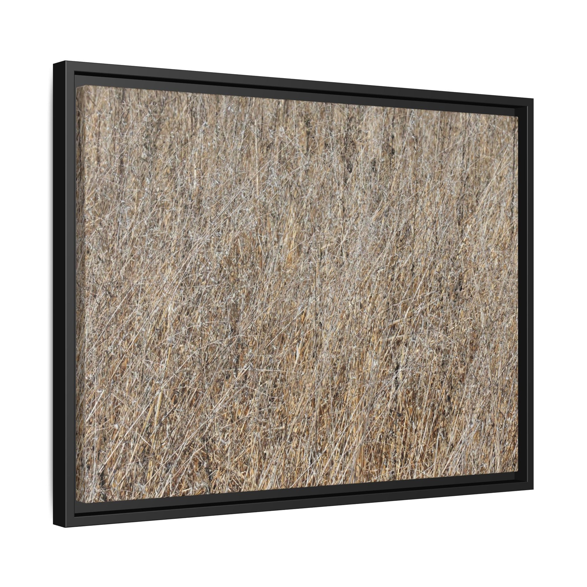 Dry Straw Symphony - Unique Stretched Canvas Wall Art - Art By Earth