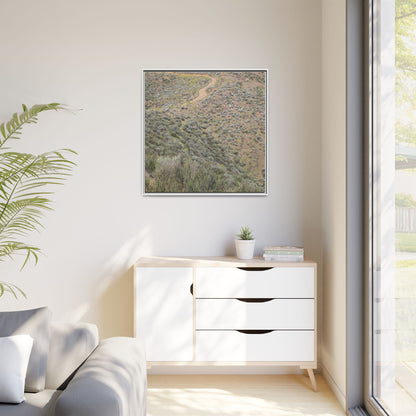 Arid Landscape with Winding Path - Unique Stretched Canvas Wall Art - Art By Earth