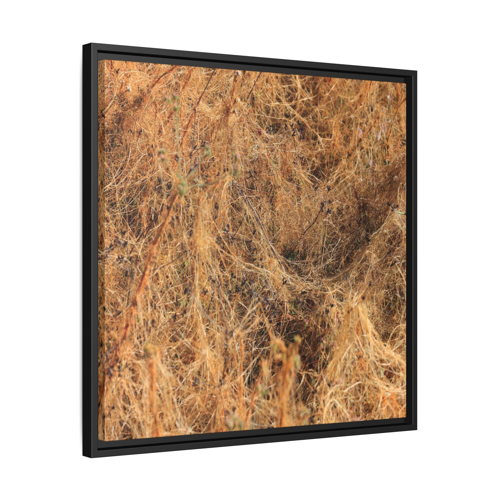 Dried Vegetation Study - Unique Stretched Canvas Wall Art - Art By Earth
