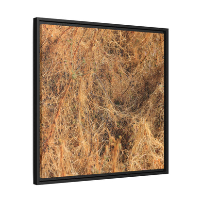 Dried Vegetation Study - Unique Stretched Canvas Wall Art - Art By Earth