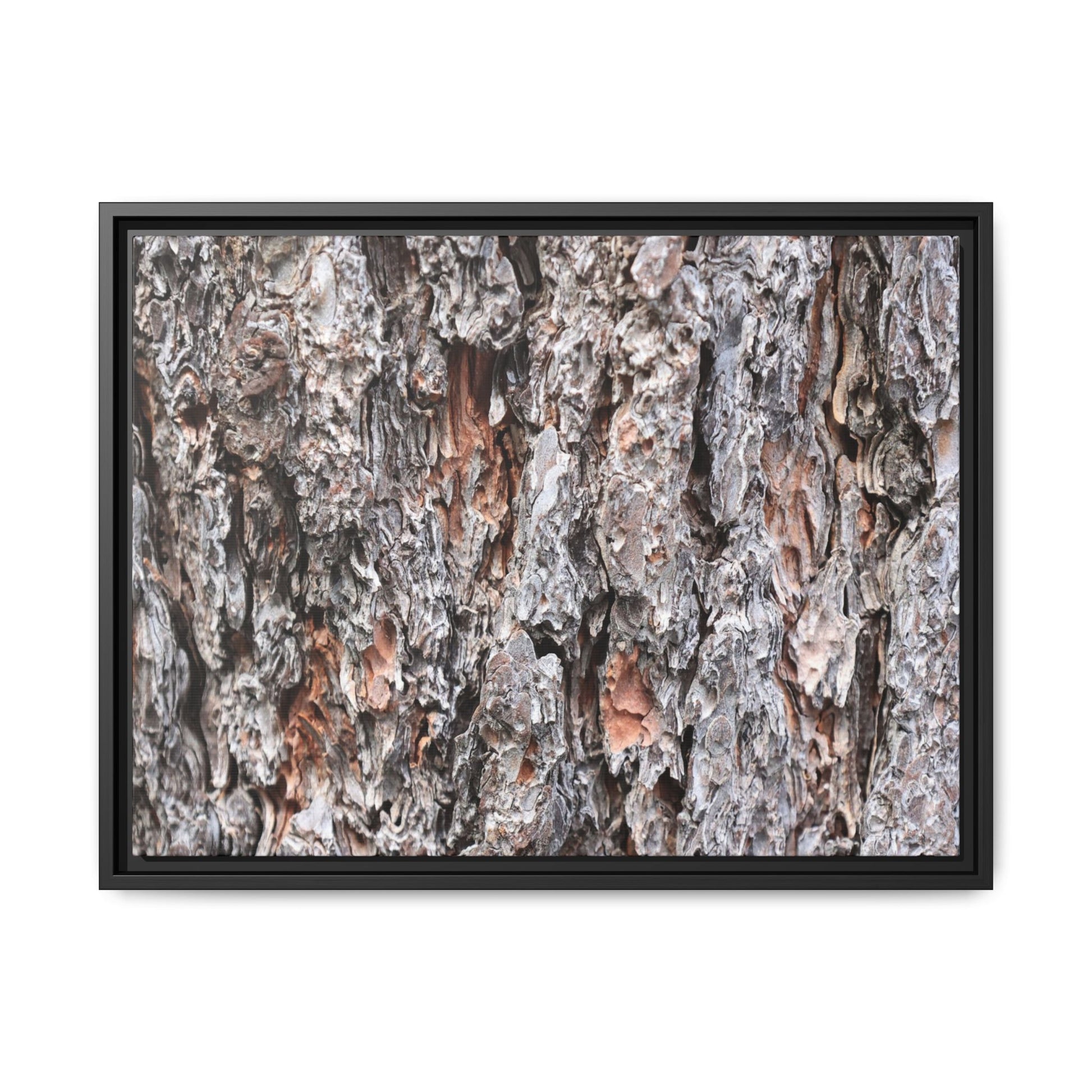 Rugged Cortex - Unique Stretched Canvas Wall Art - Art By Earth