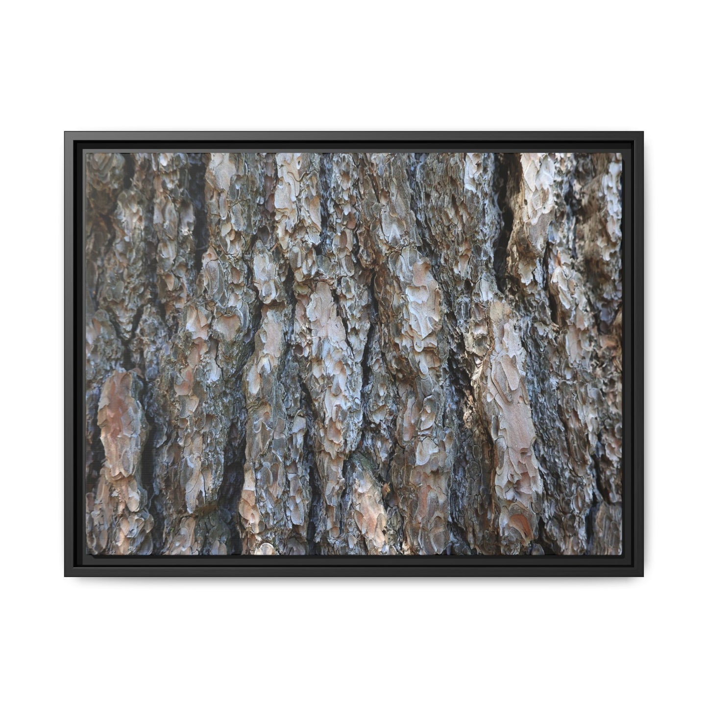 Bark Whispers - Unique Stretched Canvas Wall Art - Art By Earth