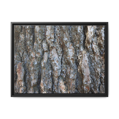 Bark Whispers - Unique Stretched Canvas Wall Art - Art By Earth