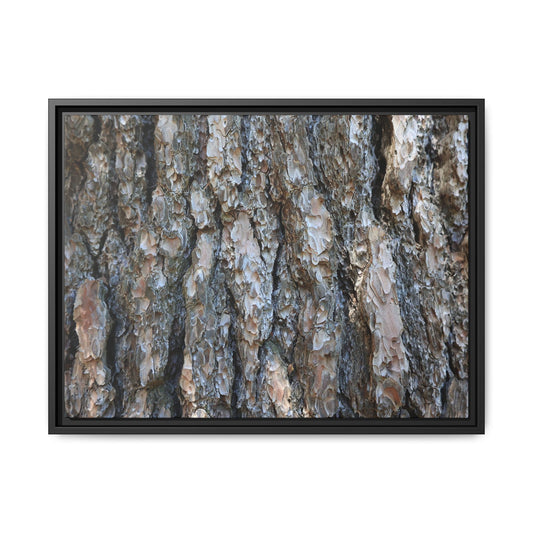 Bark Whispers - Unique Stretched Canvas Wall Art - Art By Earth