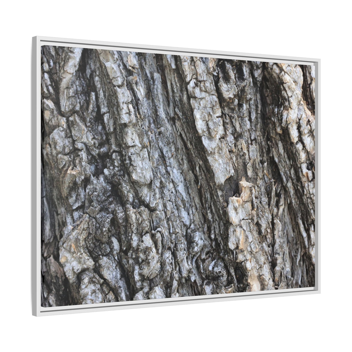 Twisted Textures - Unique Stretched Canvas Wall Art - Art By Earth