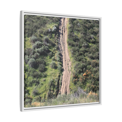 Desert Path Through Sage - Unique Stretched Canvas Wall Art - Art By Earth