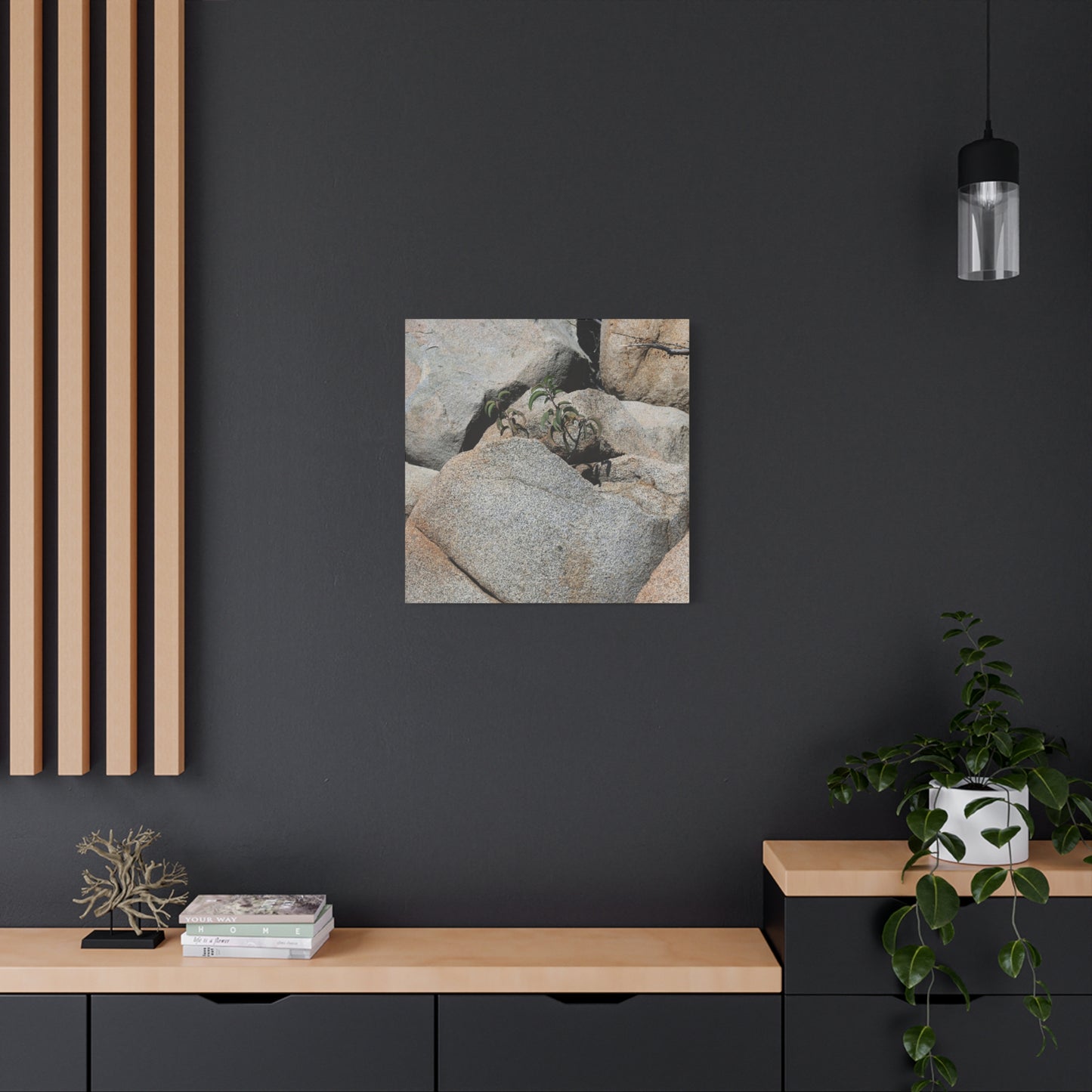 Desert Plant Survives - Unique Frameless Canvas Wall Art