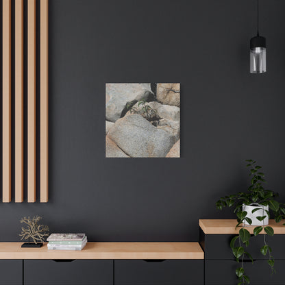 Desert Plant Survives - Unique Frameless Canvas Wall Art