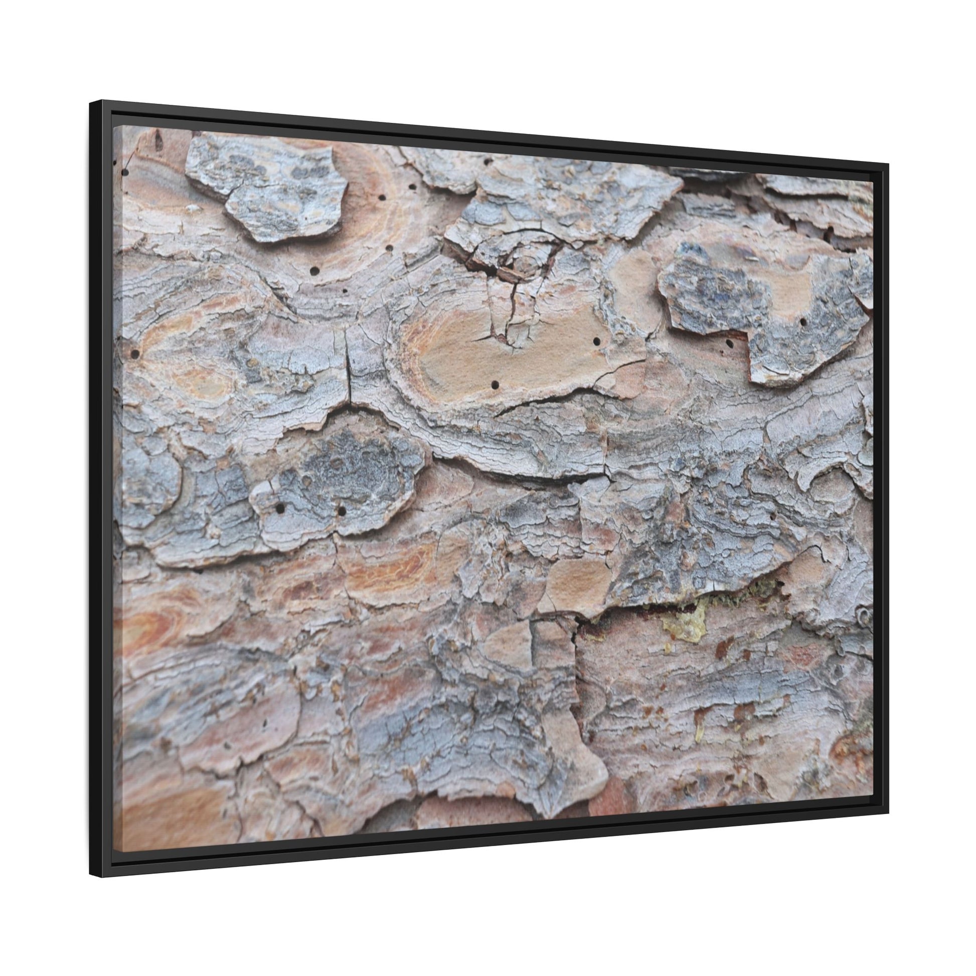 Peeling Memories - Unique Stretched Canvas Wall Art - Art By Earth