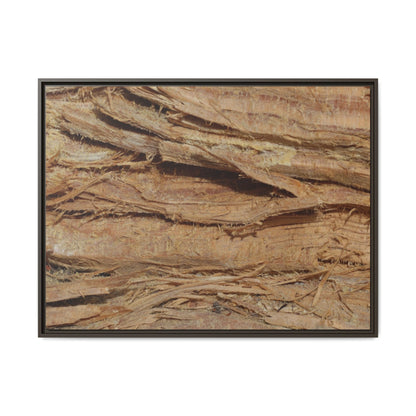 Splintered Bark - Unique Stretched Canvas Wall Art - Art By Earth