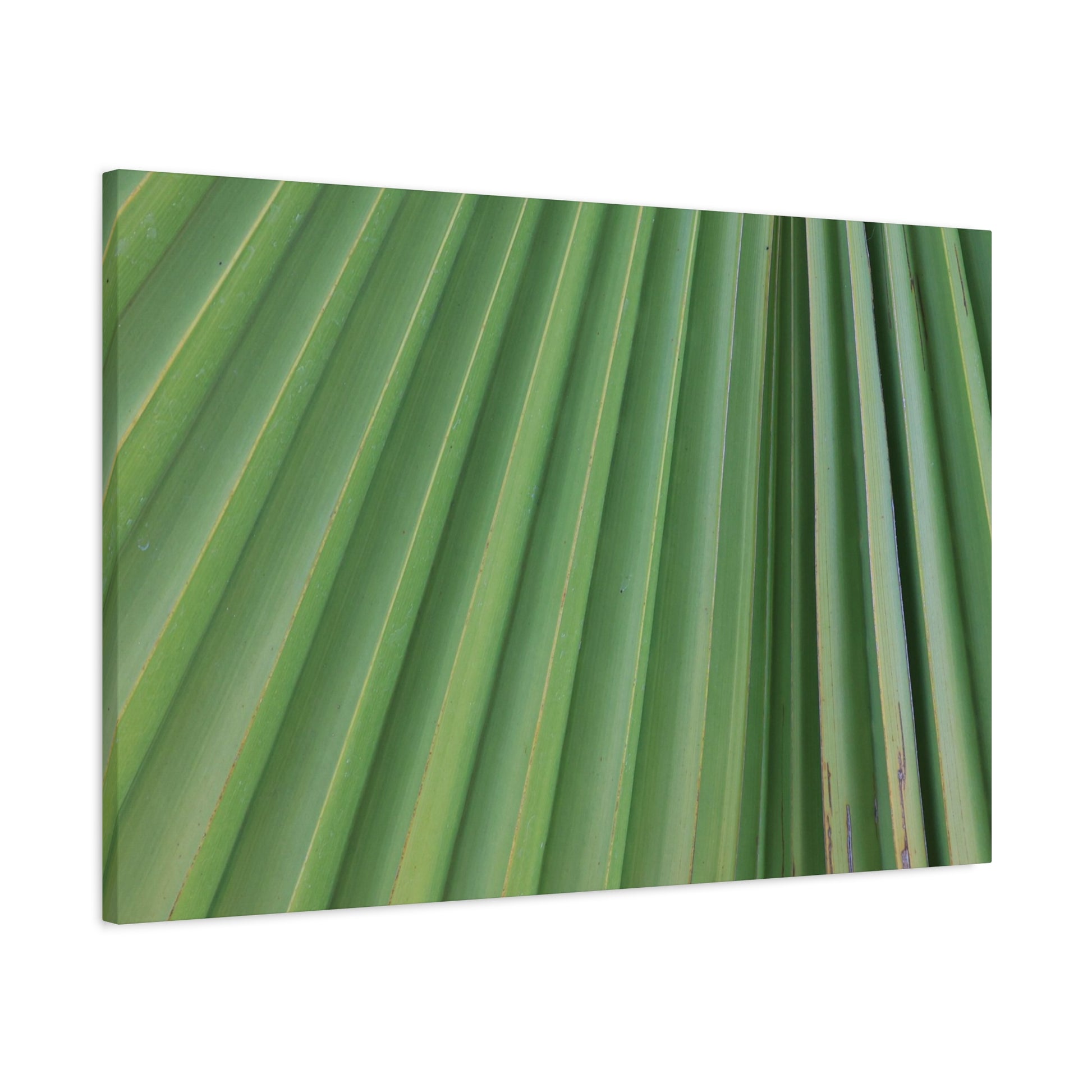 Palm Pulse - Unique Frameless Canvas Wall Art - Art By Earth