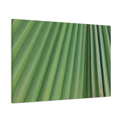 Palm Pulse - Unique Frameless Canvas Wall Art - Art By Earth