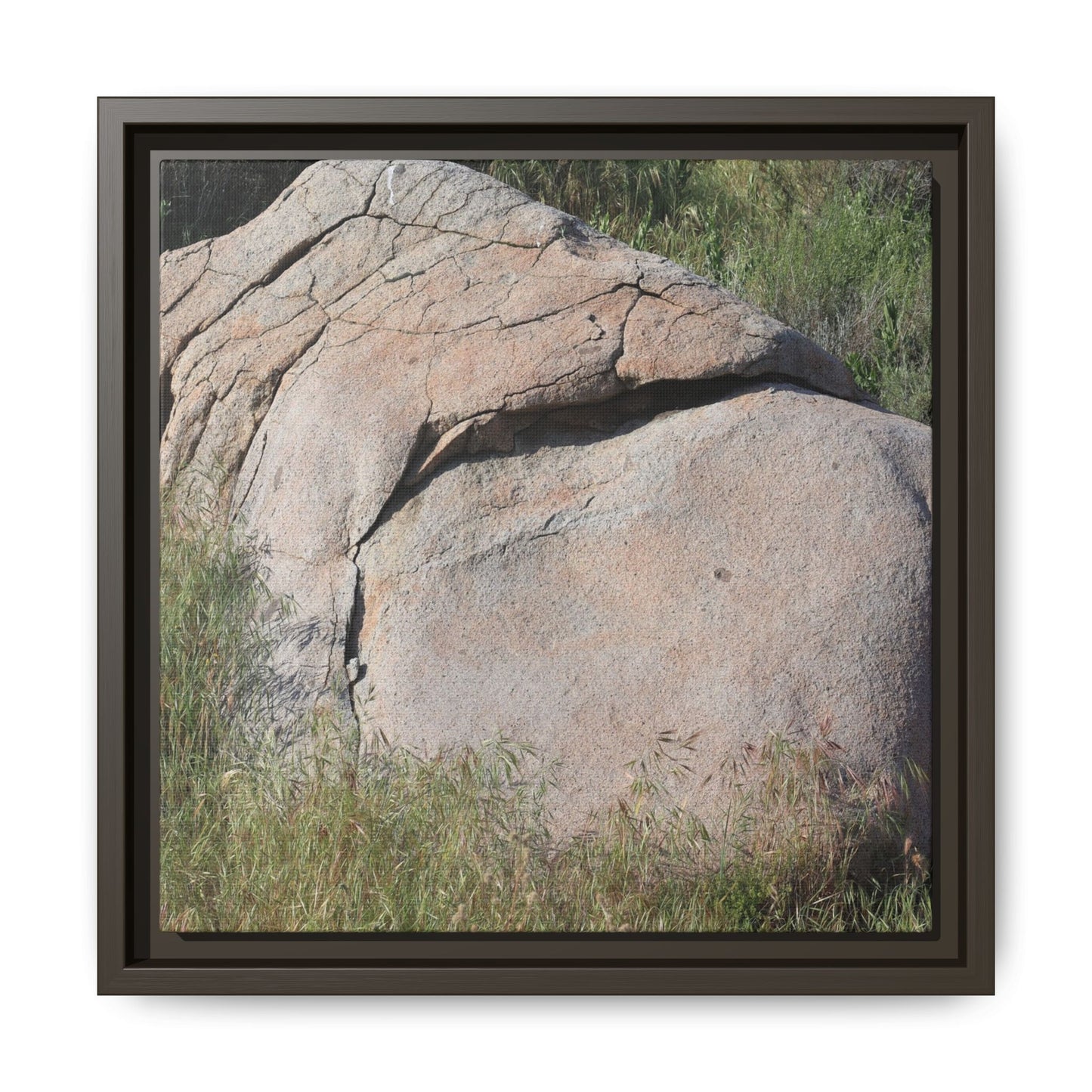 Stone Head Emerging from Earth - Unique Stretched Canvas Wall Art - Art By Earth