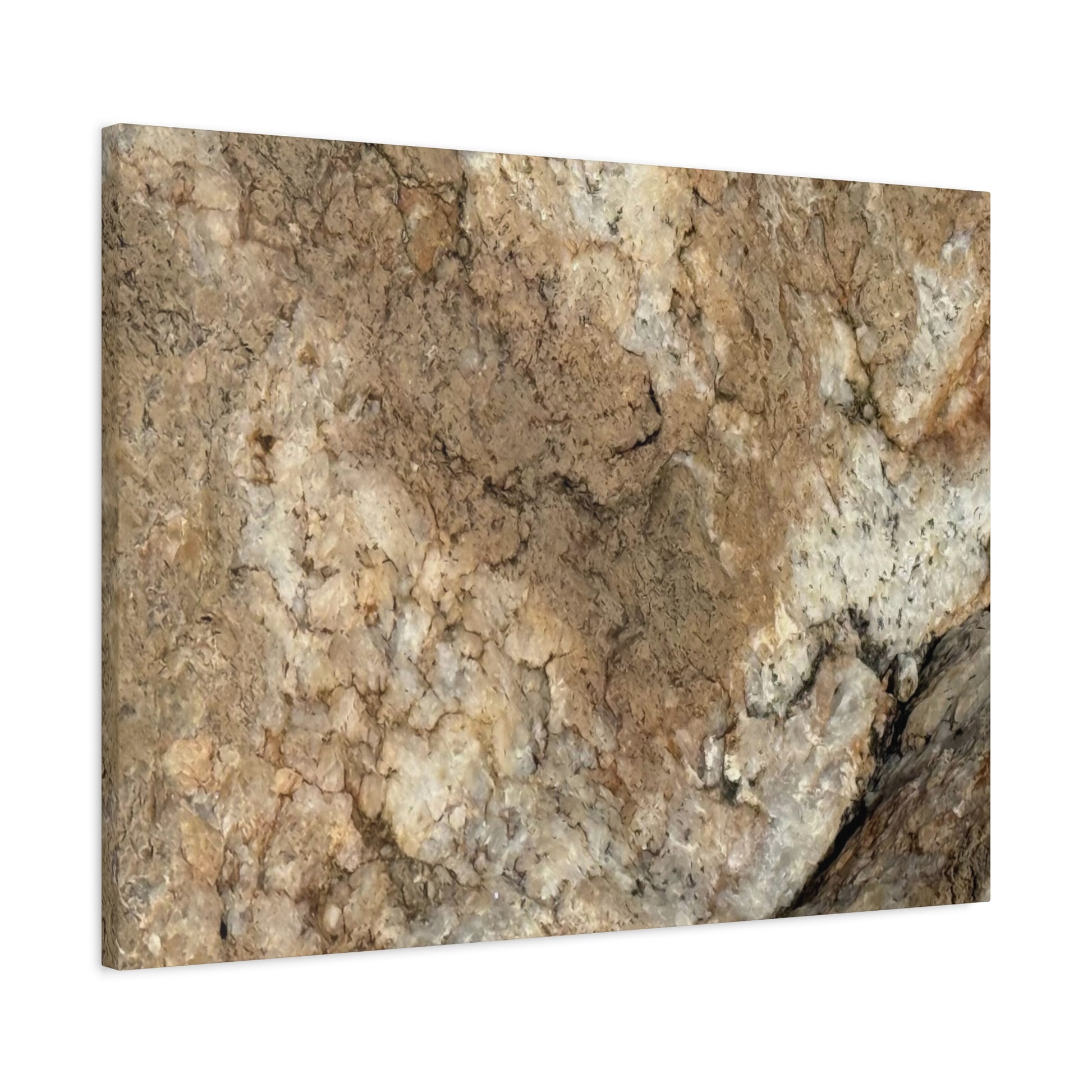 Desert Terrain - Unique Frameless Canvas Wall Art - Art By Earth