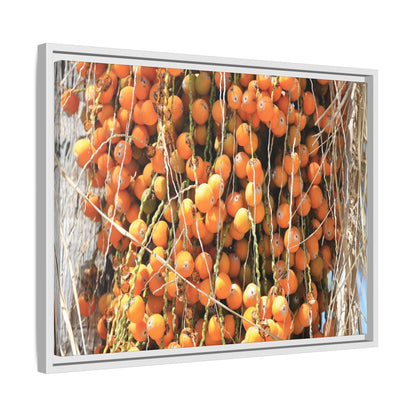 Clusters of Sunlight - Unique Canvas Wall Art - Art By Earth