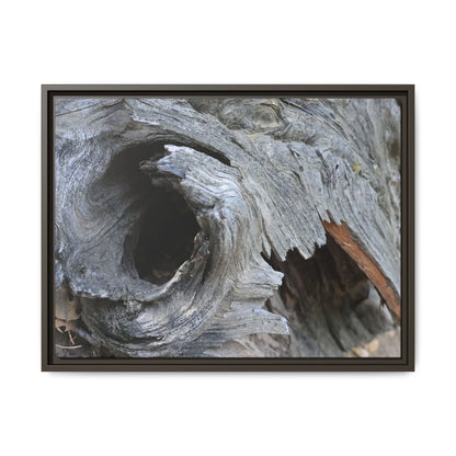 Bark's Labyrinth - Unique Stretched Canvas Wall Art - Art By Earth