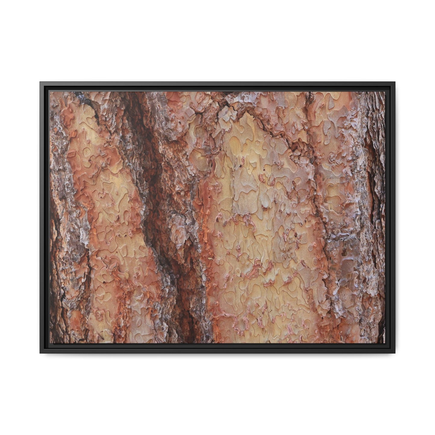 Rustic Rhythms - Unique Stretched Canvas Wall Art - Art By Earth