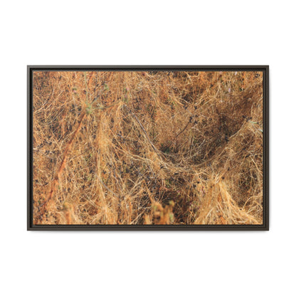 Dried Vegetation Study - Unique Stretched Canvas Wall Art - Art By Earth