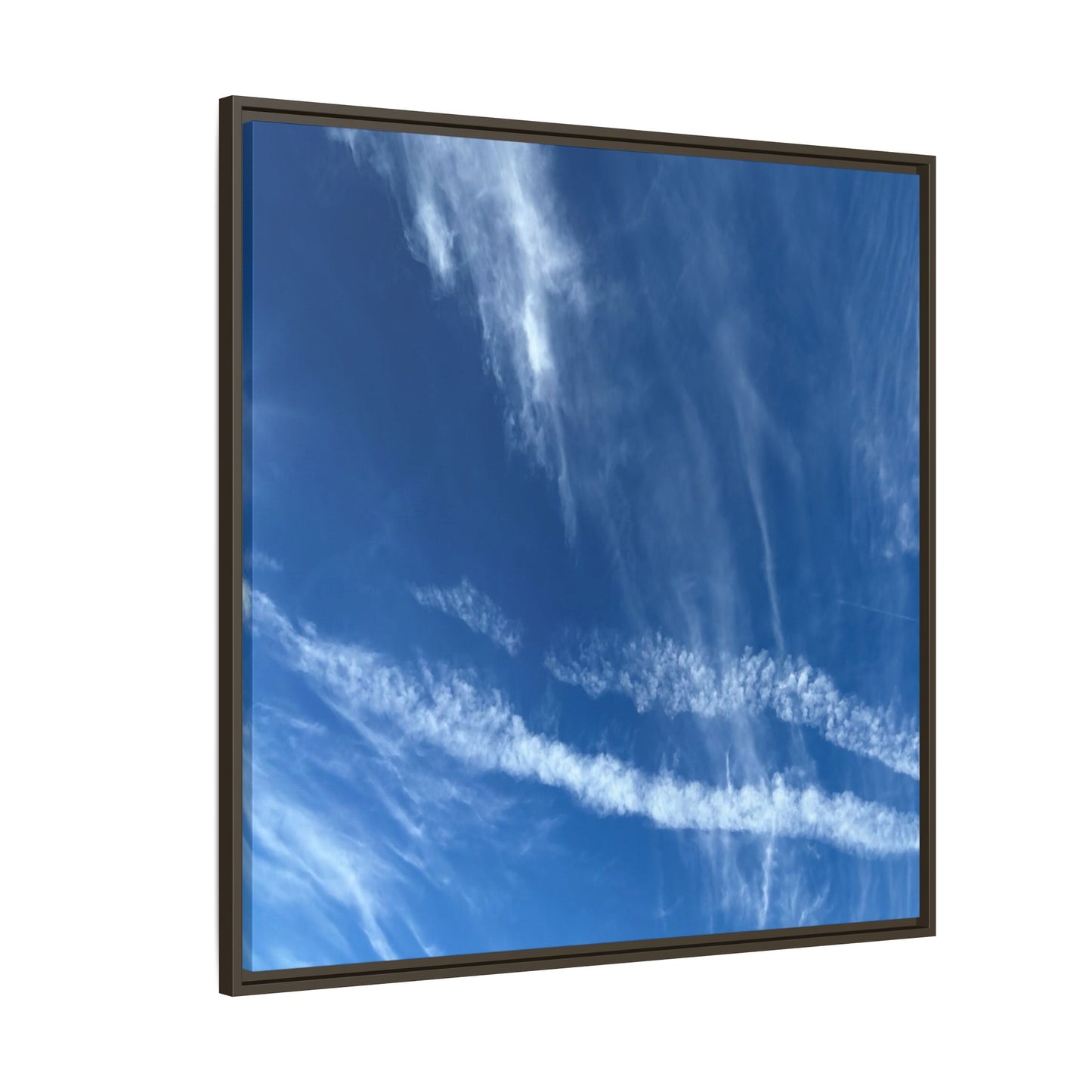 Sky Dance - Unique Stretched Canvas Wall Art - Art By Earth