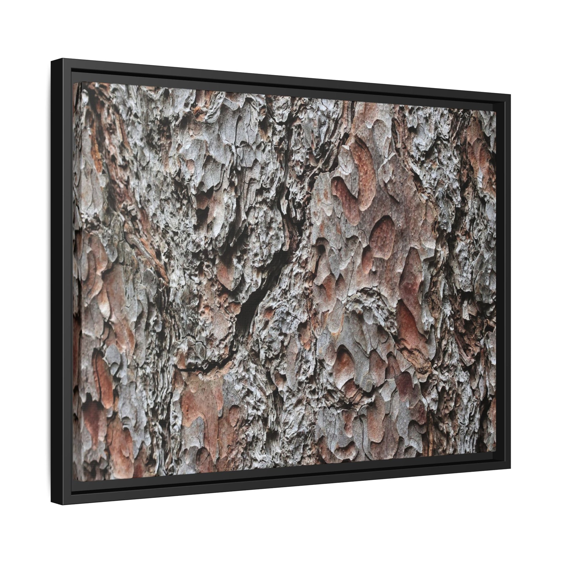 Bark Texture Symphony - Unique Stretched Canvas Wall Art - Art By Earth