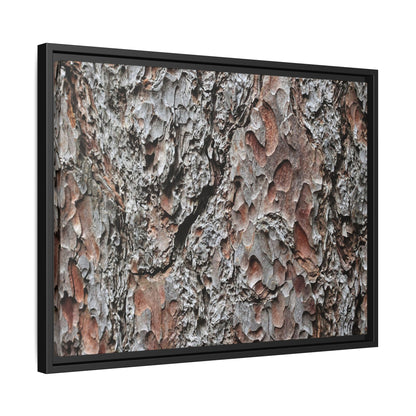 Bark Texture Symphony - Unique Stretched Canvas Wall Art - Art By Earth