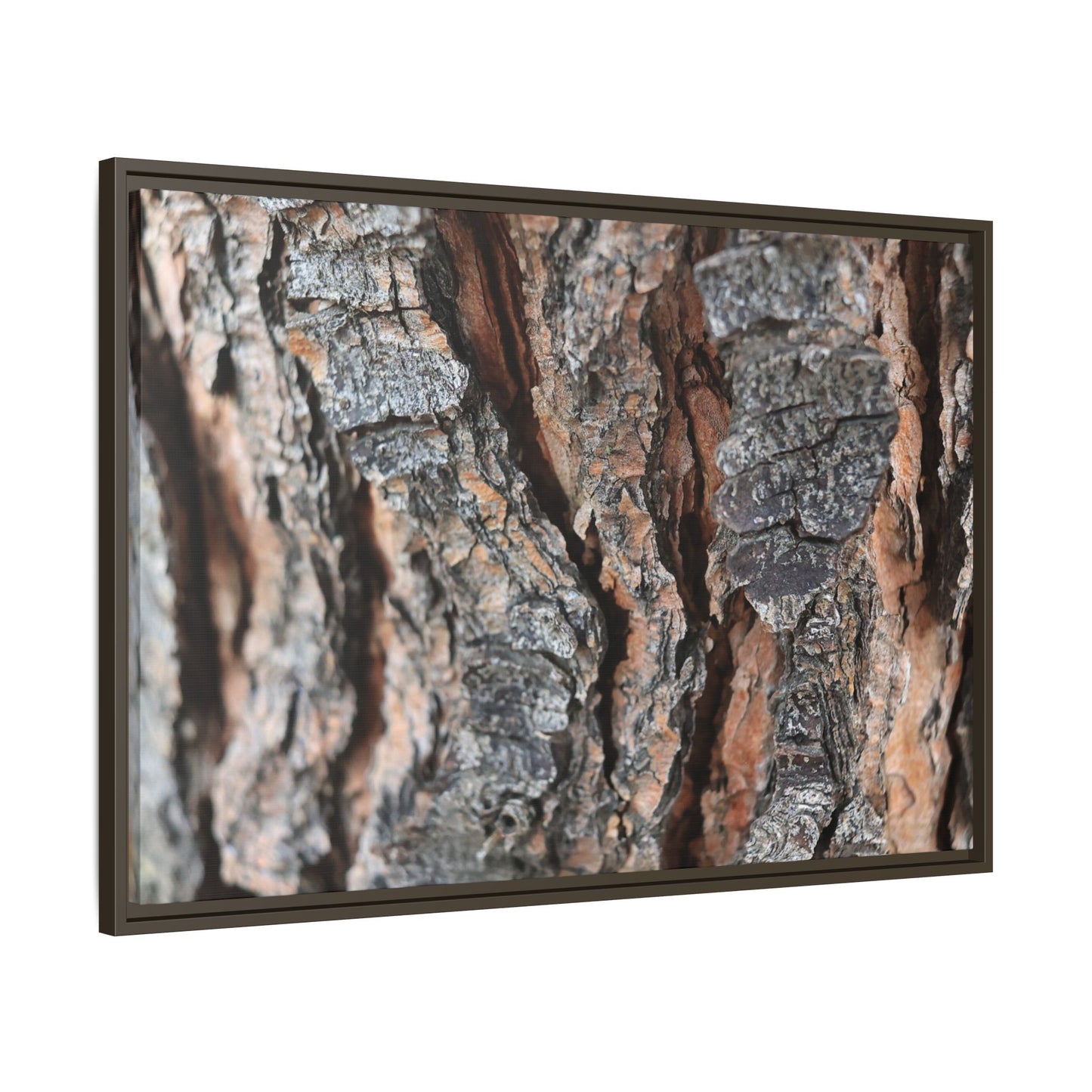 Fractured Nature - Unique Stretched Canvas Wall Art - Art By Earth
