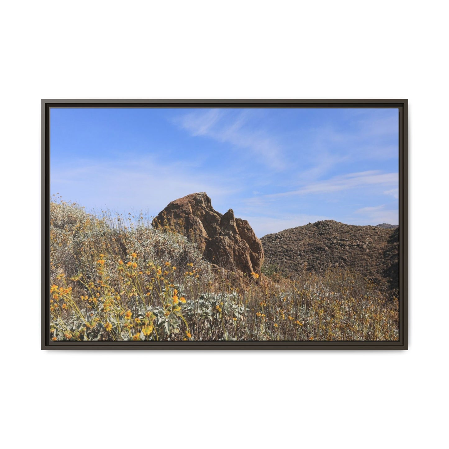 Golden Flowers in Arid Landscape - Unique Stretched Canvas Wall Art - Art By Earth