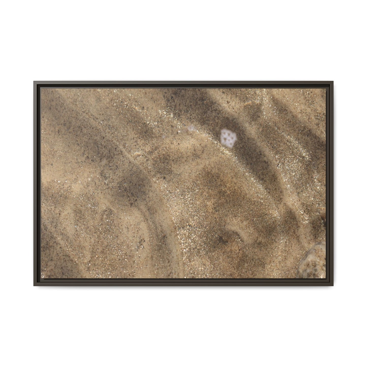 Underwater Sand Exploration - Unique Stretched Canvas Wall Art - Art By Earth