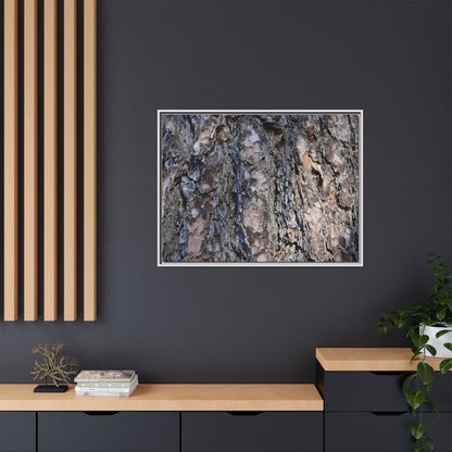 Weathered Patterns - Unique Stretched Canvas Wall Art - Art By Earth