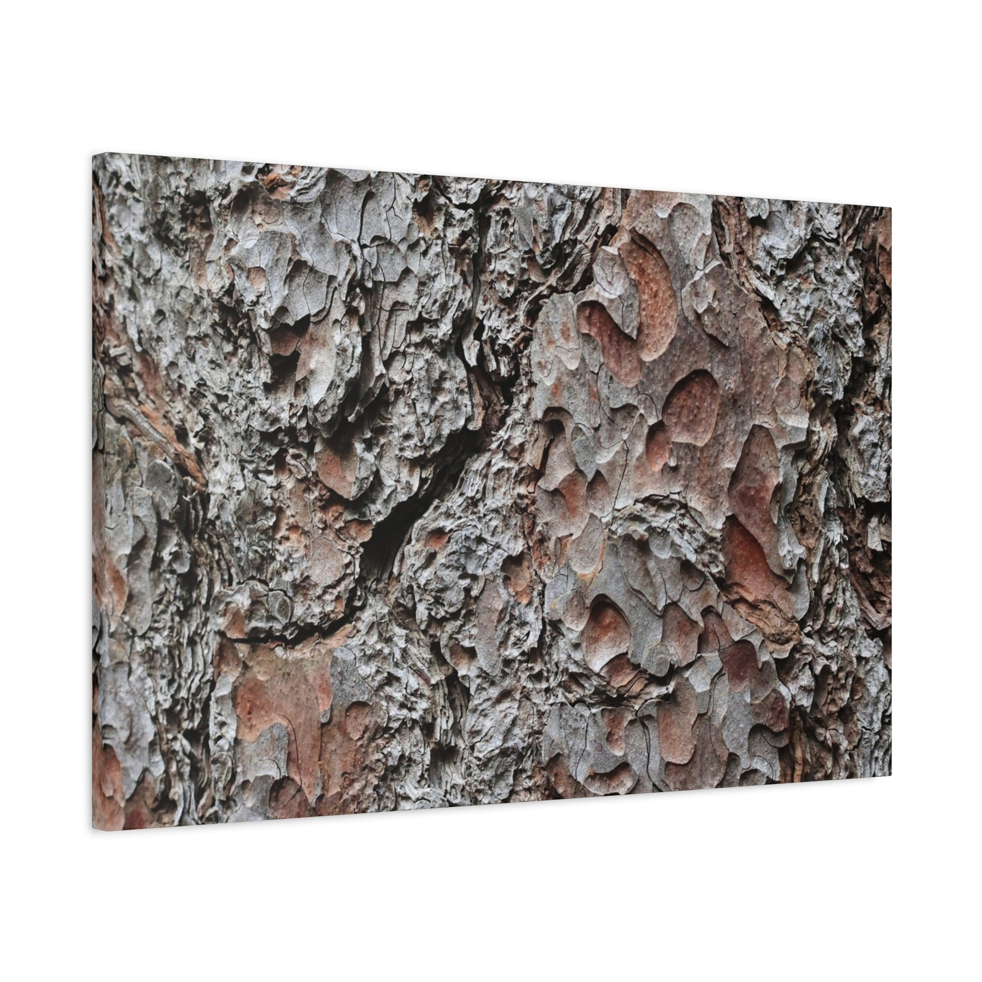 Textured Whispers of Bark - Unique Frameless Canvas Wall Art - Art By Earth