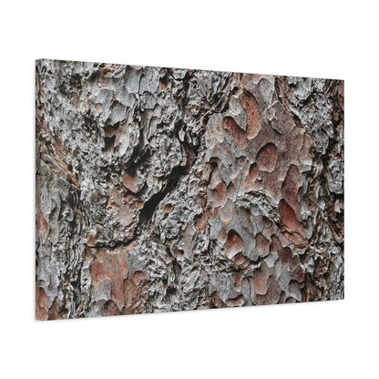 Textured Whispers of Bark - Unique Frameless Canvas Wall Art - Art By Earth