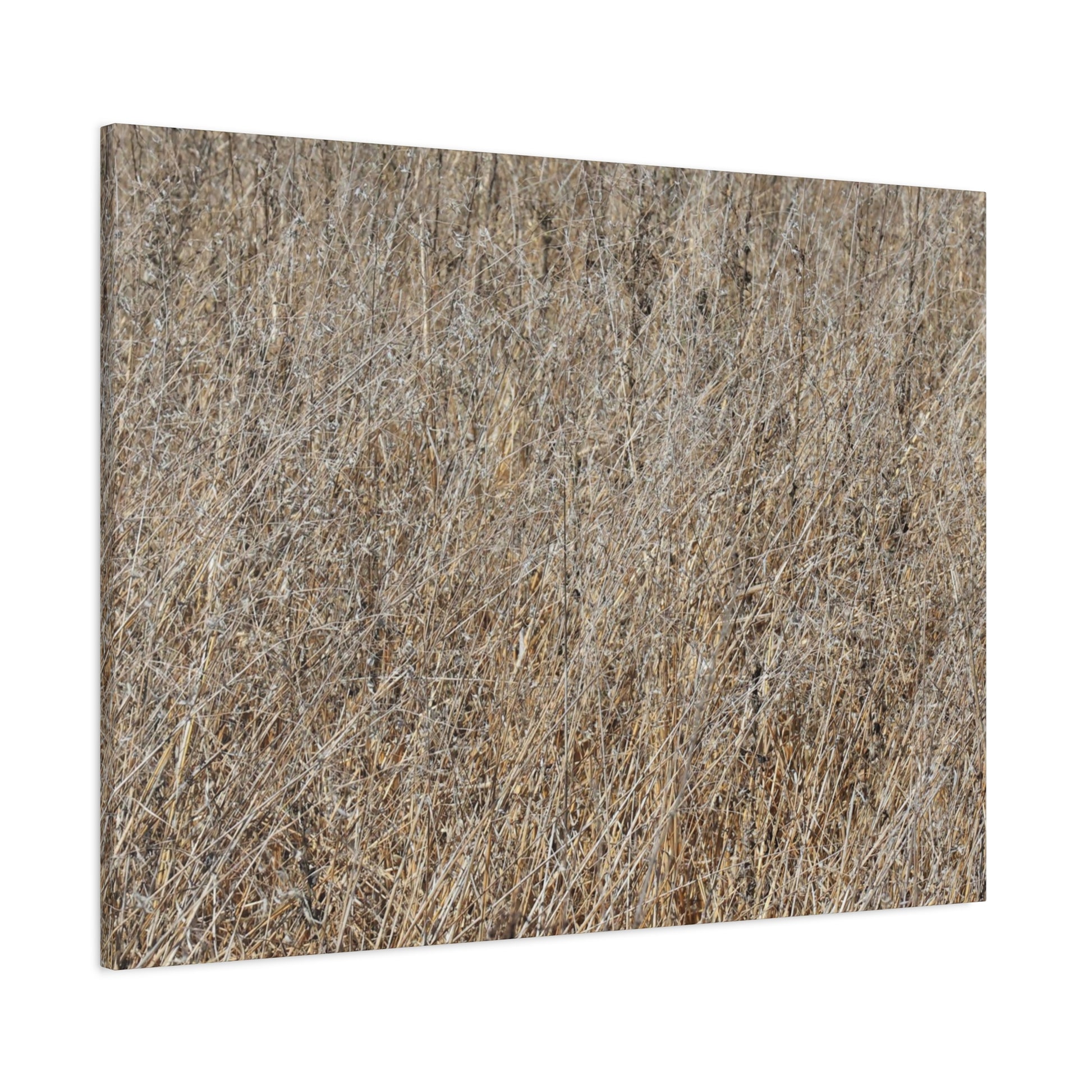 Silent Prairie - Unique Frameless Canvas Wall Art - Art By Earth
