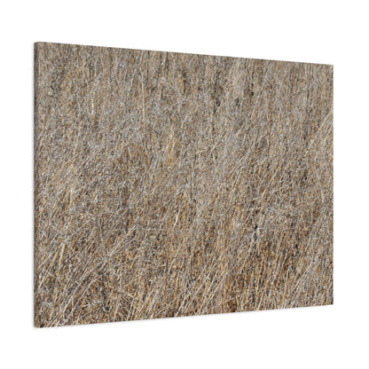 Silent Prairie - Unique Frameless Canvas Wall Art - Art By Earth