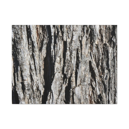 Bark Textures in Monochrome - Unique Frameless Canvas Wall Art - Art By Earth
