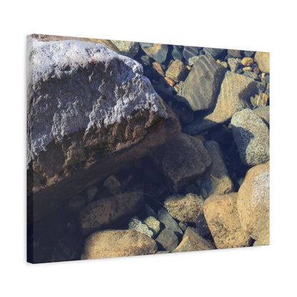 Lithic Symphony - Unique Frameless Canvas Wall Art