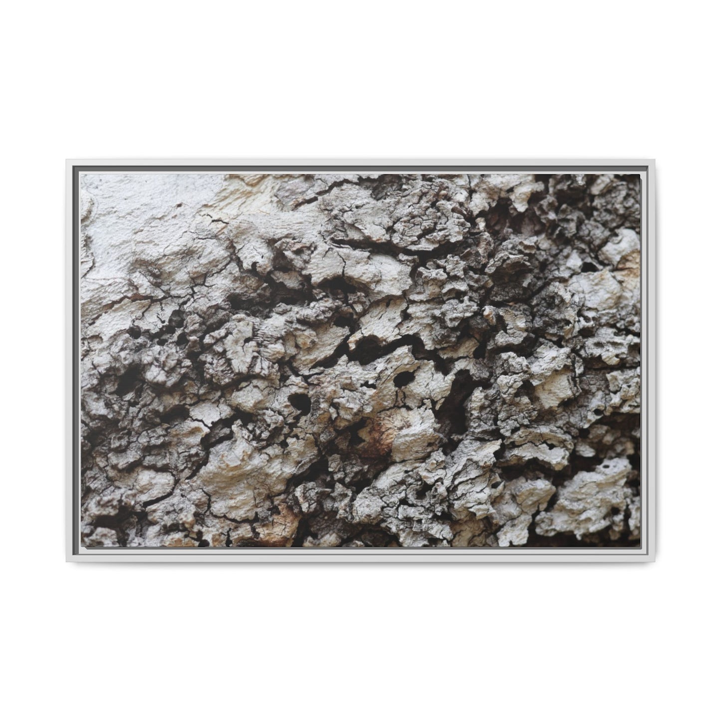 Cracked Terrain - Unique Stretched Canvas Wall Art - Art By Earth