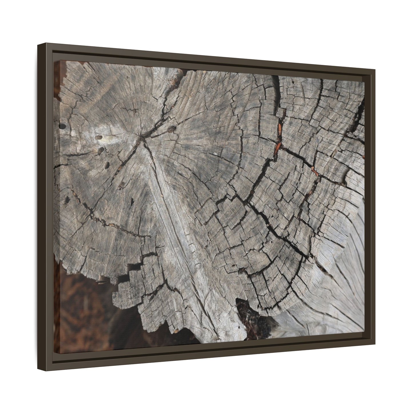 Time's Signature - Unique Stretched Canvas Wall Art - Art By Earth