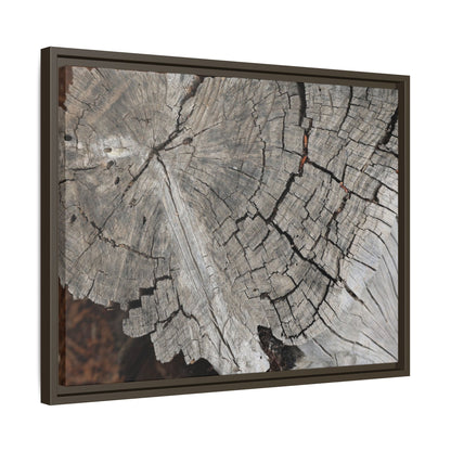 Time's Signature - Unique Stretched Canvas Wall Art - Art By Earth