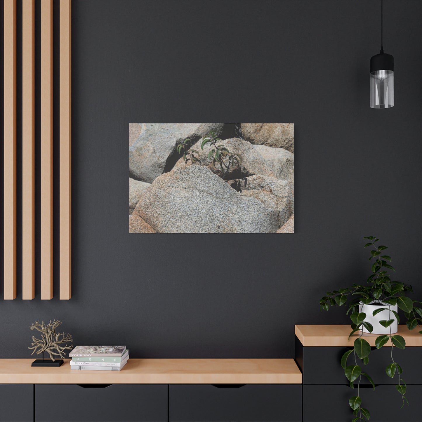 Desert Plant Survives - Unique Frameless Canvas Wall Art