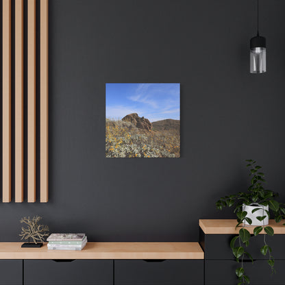 Desert Bloom - Unique Frameless Canvas Wall Art - Art By Earth