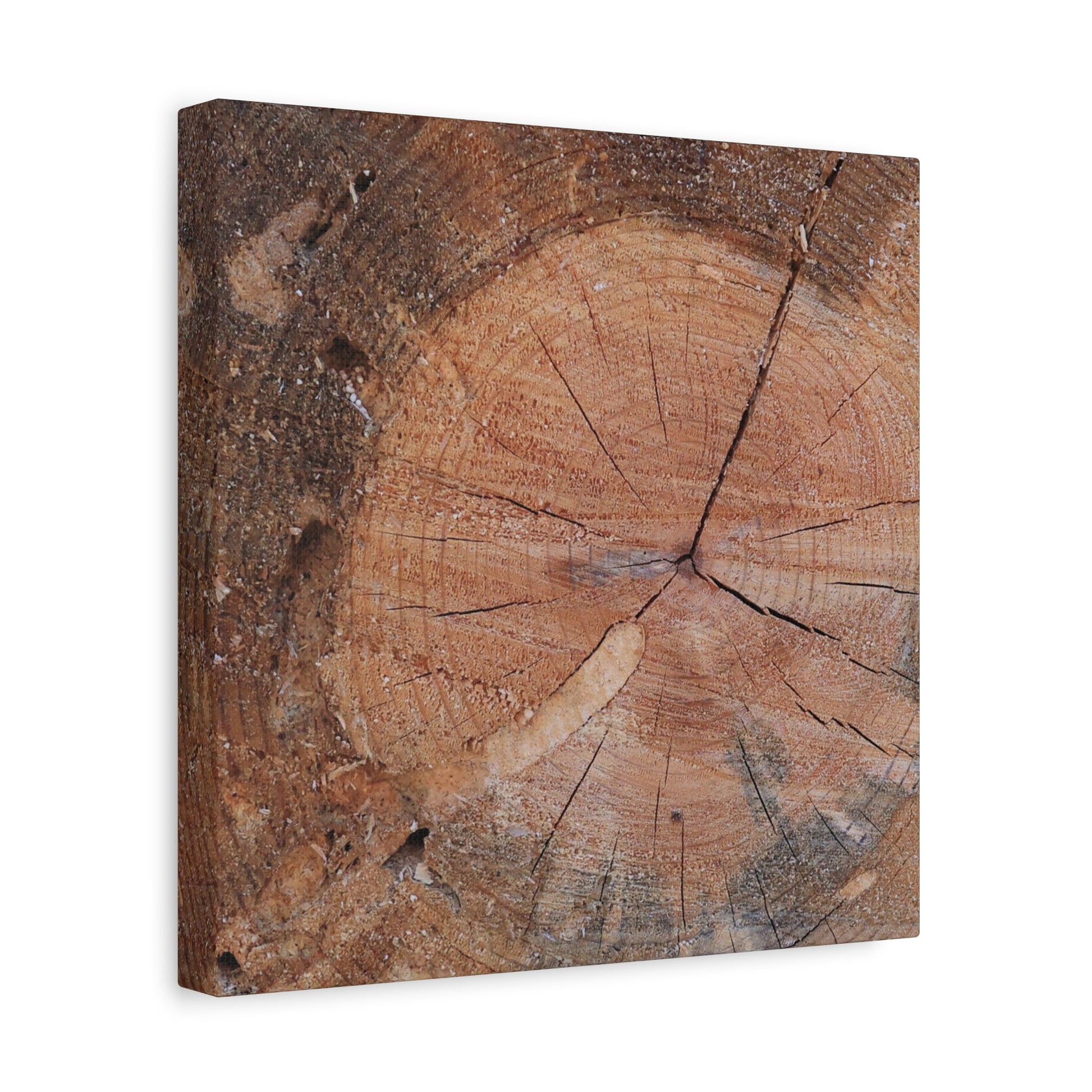 Timber Tale - Unique Frameless Canvas Wall Art - Art By Earth