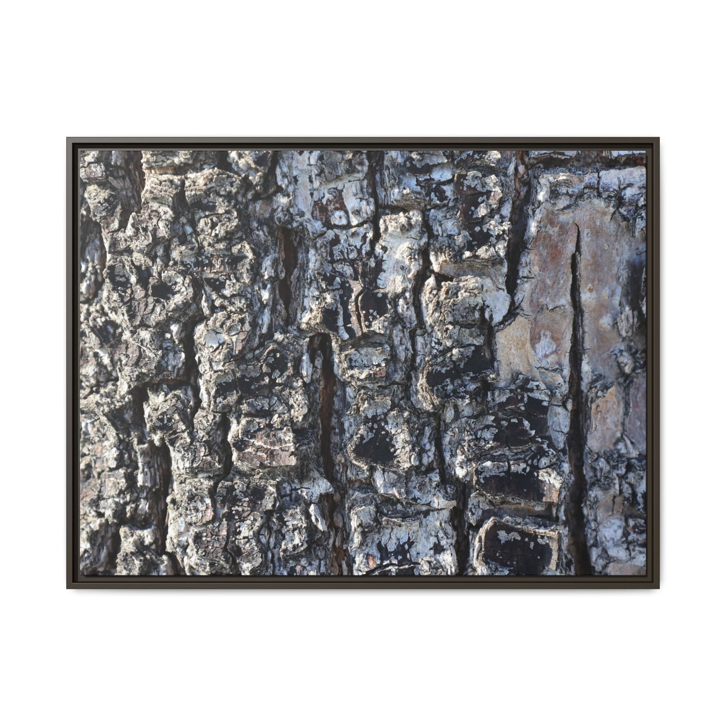 The Bark Chronicles - Unique Stretched Canvas Wall Art - Art By Earth