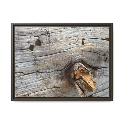 Weathered Wood Texture - Unique Stretched Canvas Wall Art - Art By Earth