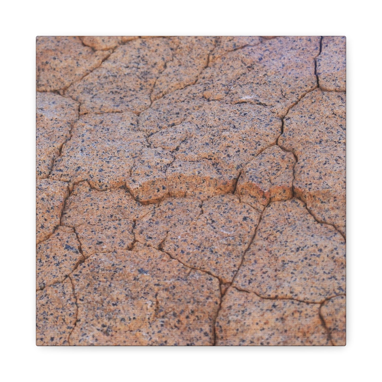 Cracked Earth's Whispers - Unique Frameless Canvas Wall Art - Art By Earth