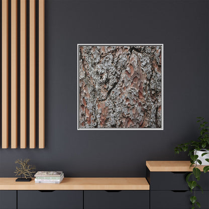 Bark Texture Symphony - Unique Stretched Canvas Wall Art - Art By Earth