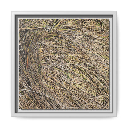 Tangled Grass Symphony - Unique Stretched Canvas Wall Art - Art By Earth