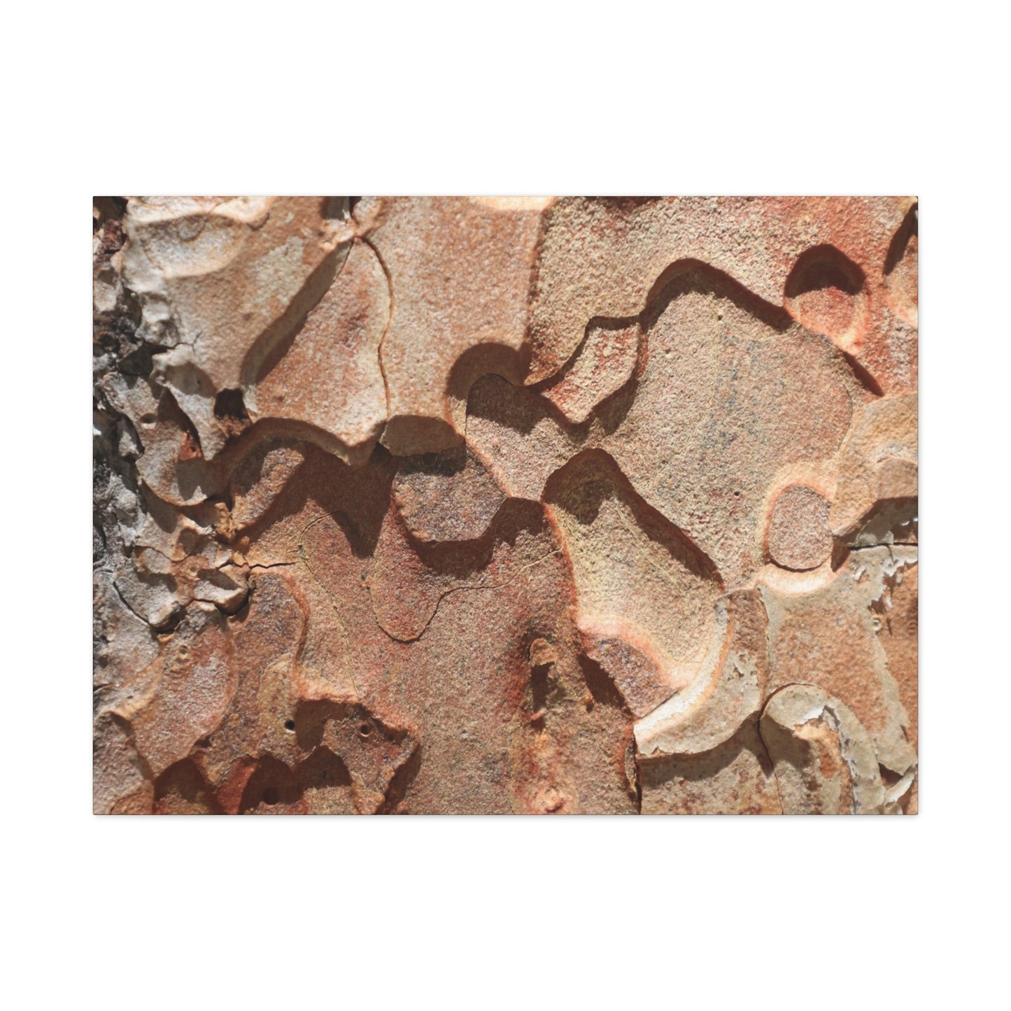 Terracotta Echoes - Unique Frameless Canvas Wall Art - Art By Earth