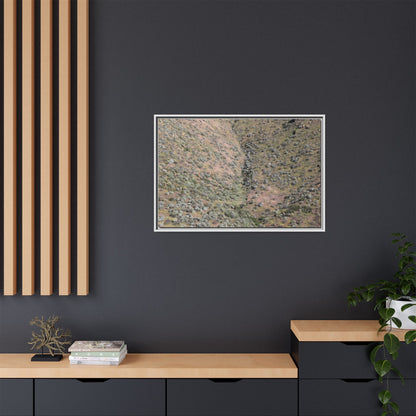 Mountain Slope with Desert Vegetation - Unique Stretched Canvas Wall Art - Art By Earth