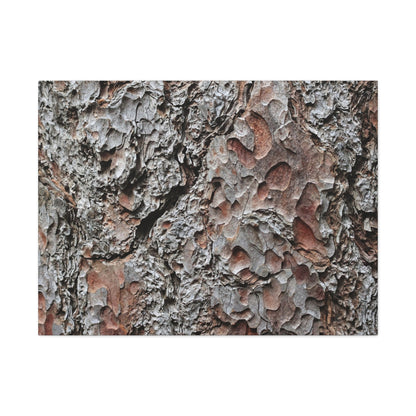 Textured Whispers of Bark - Unique Frameless Canvas Wall Art - Art By Earth