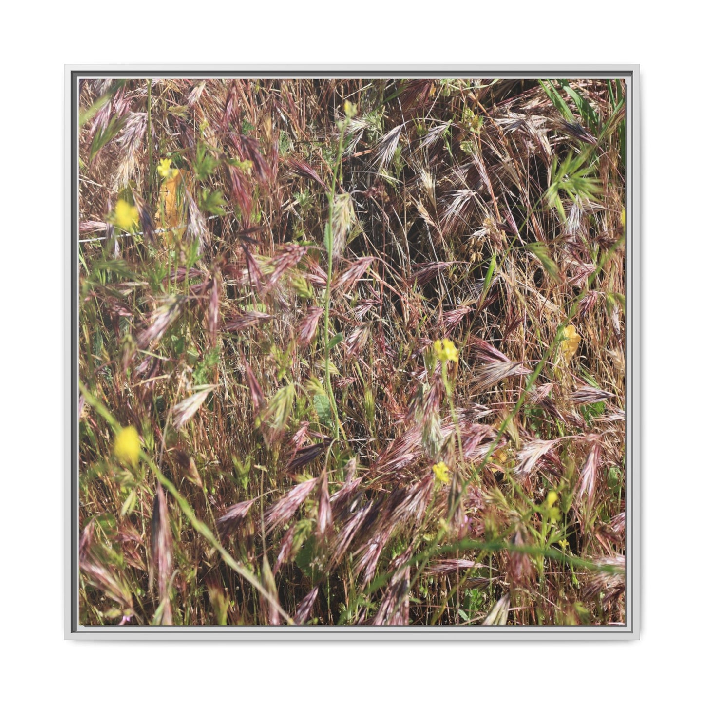 Autumn Meadow - Unique Stretched Canvas Wall Art - Art By Earth